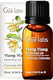Gya Labs Ylang Ylang Ã¤therisches Ã¶l fÃ¼r Diffusor â 100 % reines und natÃ¼rliches ylang ylang Ã¶l in therapeutischer QualitÃ¤t fÃ¼r die Haut, Haarwuchs und Aromatherapie (10ml)